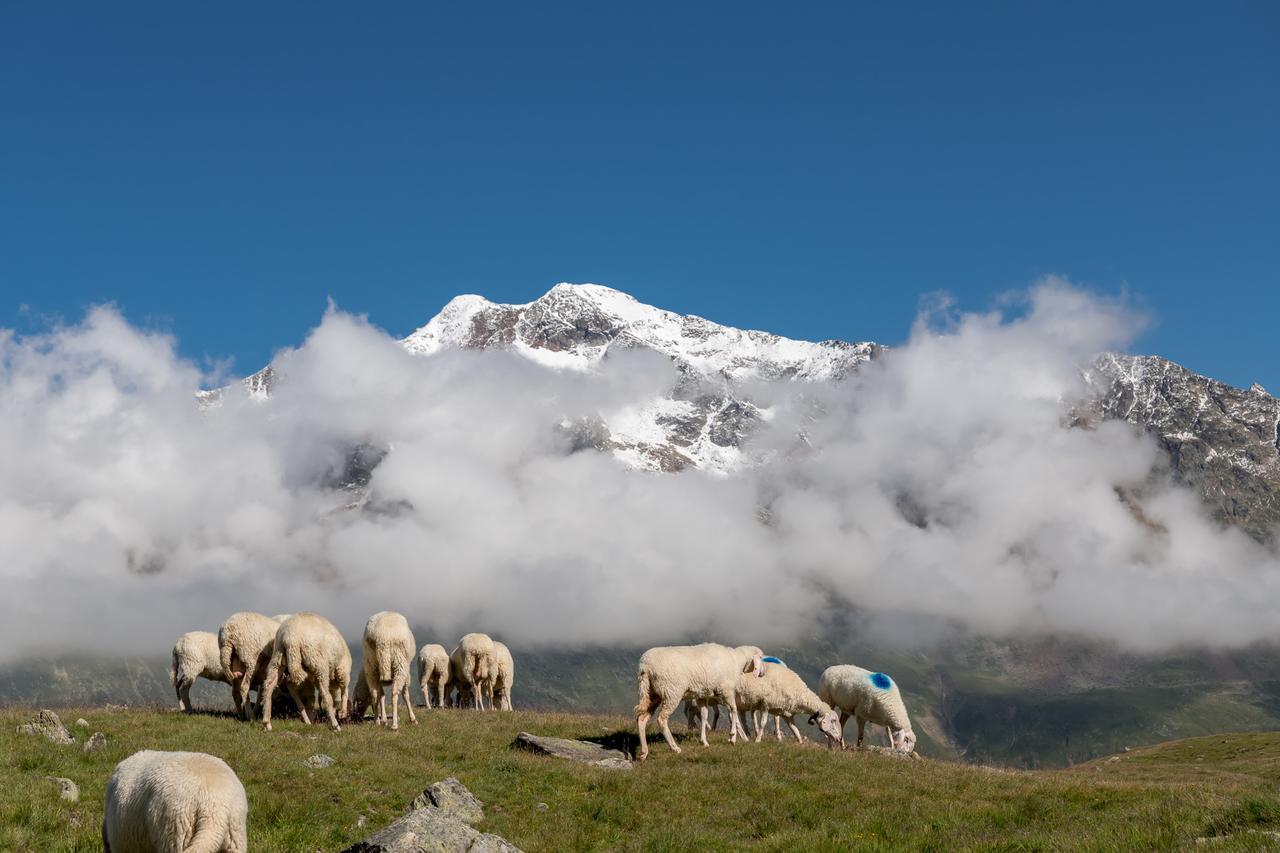 Natur-&Alpinhotel Post Вент Экстерьер фото